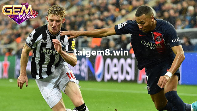 Thông tin lực lượng và đội hình dự kiến Paris Saint-Germain vs Newcastle 