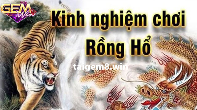 Chiến thuật và kỹ thuật chơi Rồng Hổ để thắng 99%